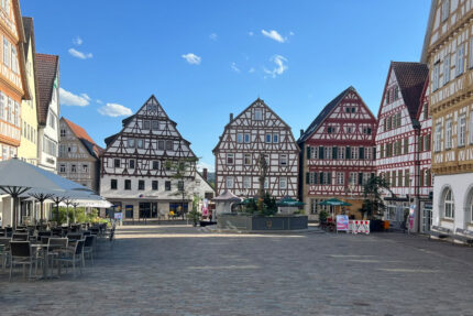 Leonberg Immobilien